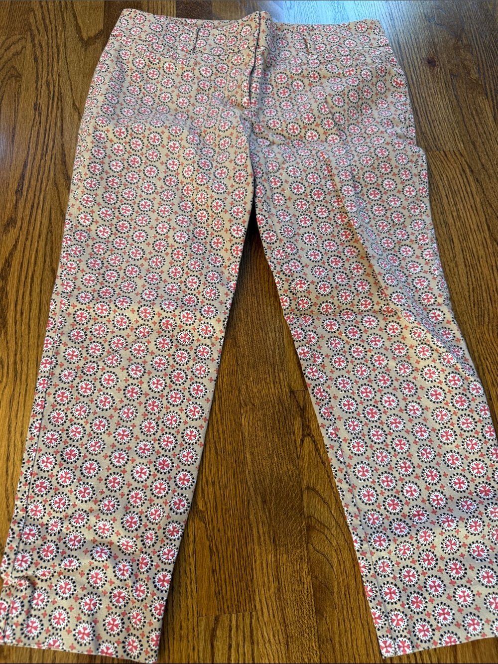 LOFT Ladies’ Marissa The Riviera Patterned Casual Pants